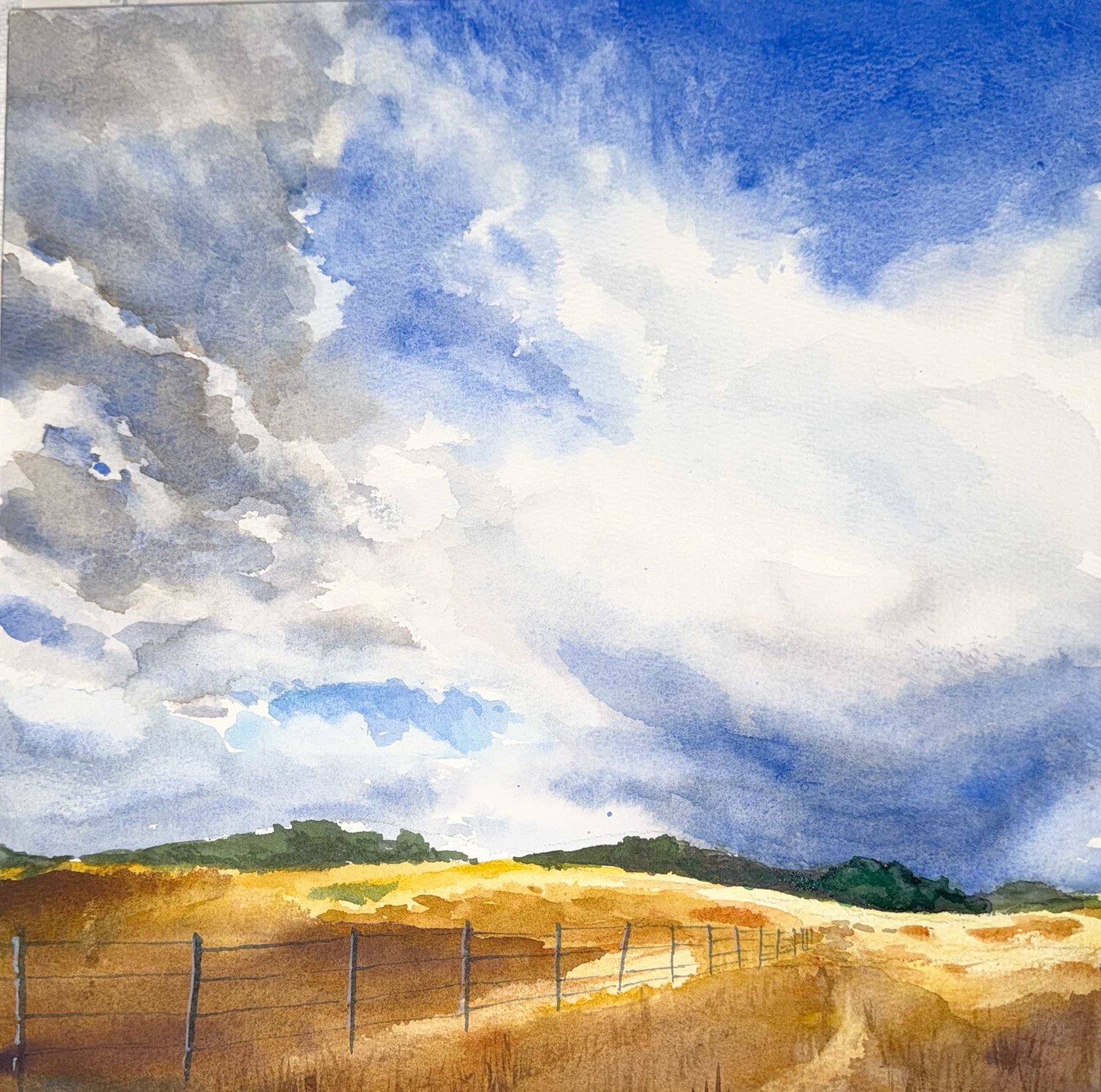 Whispers Across Golden Field
